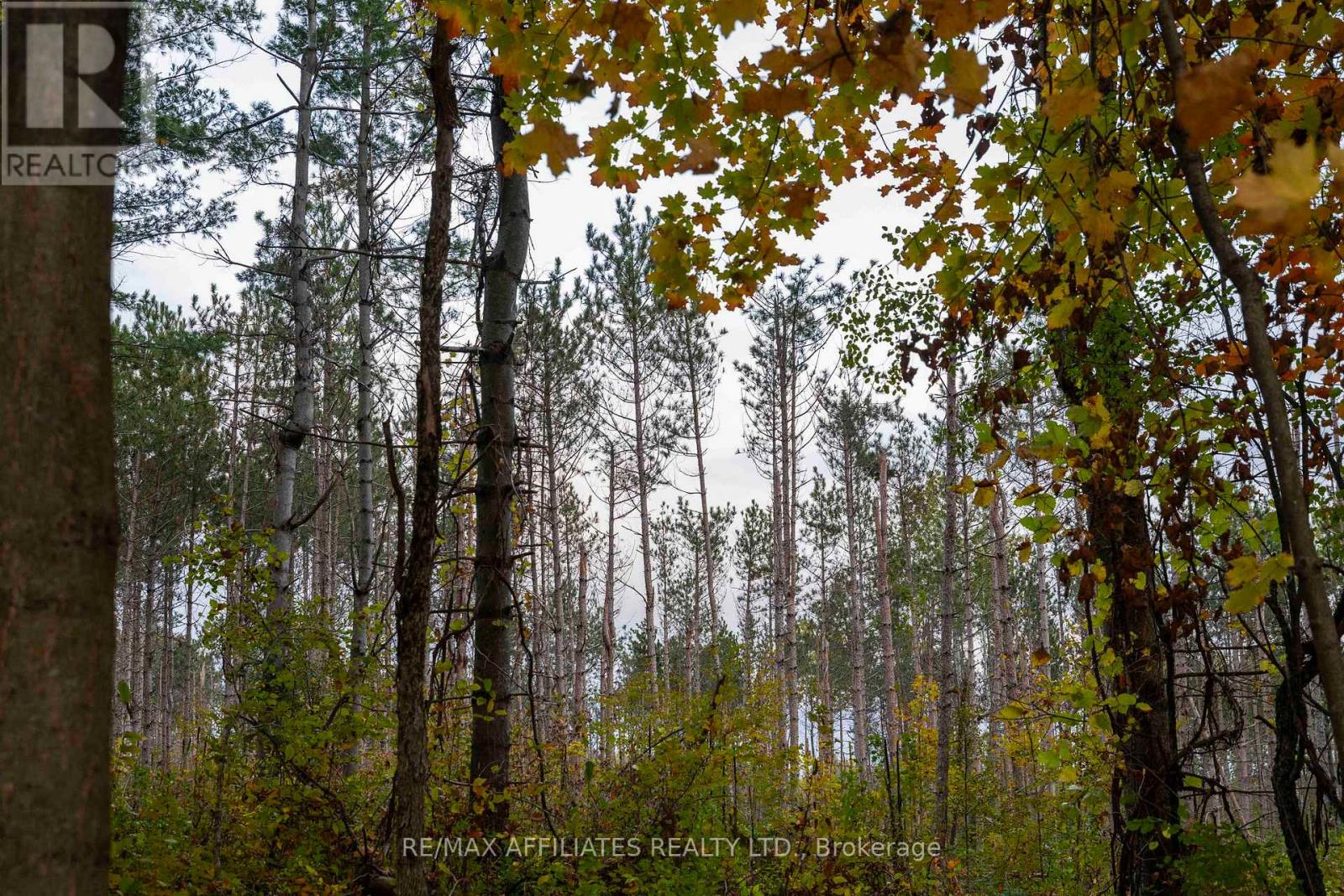 Photo 13 of 420 Butler Farm Road, North Grenville ON