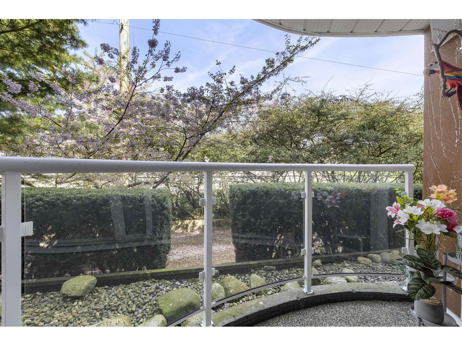 104 15213 PACIFIC AVENUE, White Rock