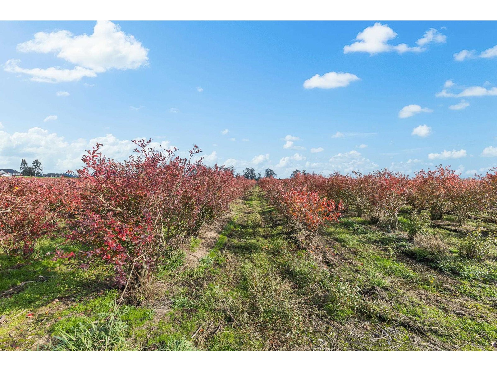 15729 48 AVENUE, Surrey