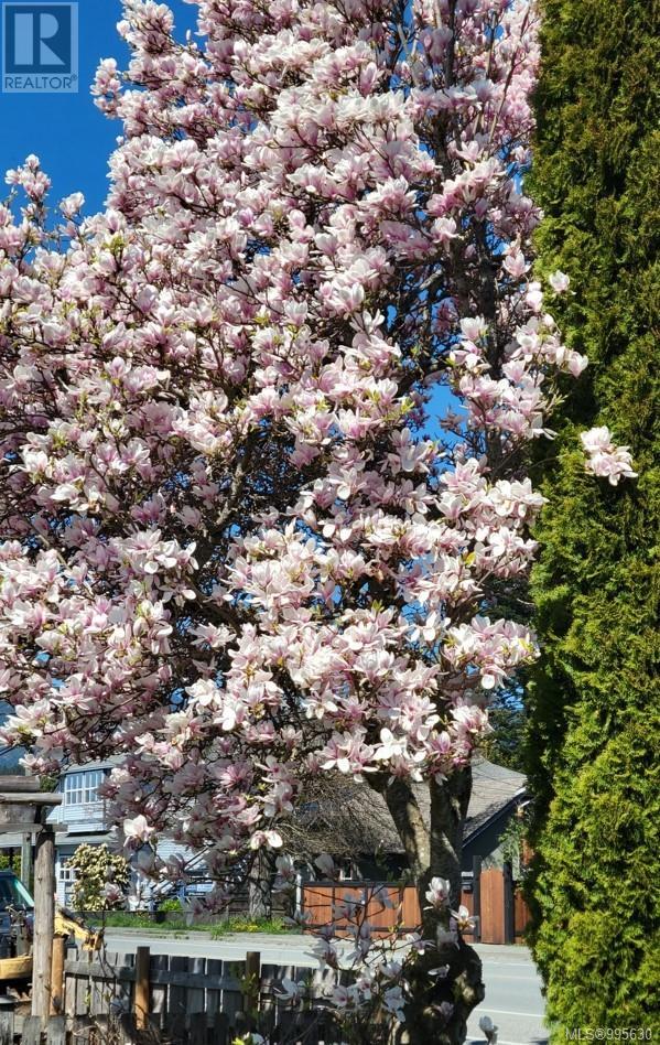 4738 Gertrude St, Port Alberni real estate listing 995630