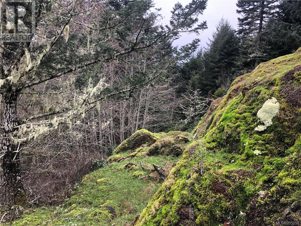 Photo 5 of 7340 Thornton Hts, Sooke BC