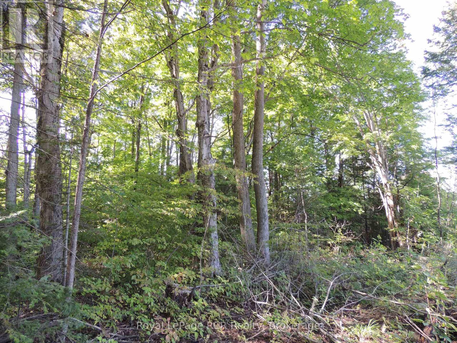 Photo 10 of Lt 35 Highland Drive, West Grey ON