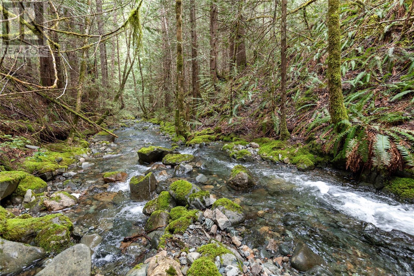 Photo 65 of 2770 Marshland Rd, Qualicum Beach BC