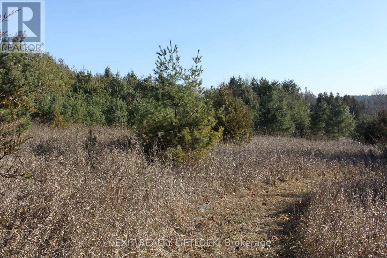Photo 5 of 104 Concession 3 W, Trent Hills ON