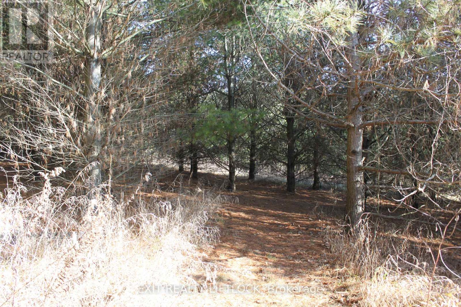 Photo 2 of 104 Concession 3 W, Trent Hills ON