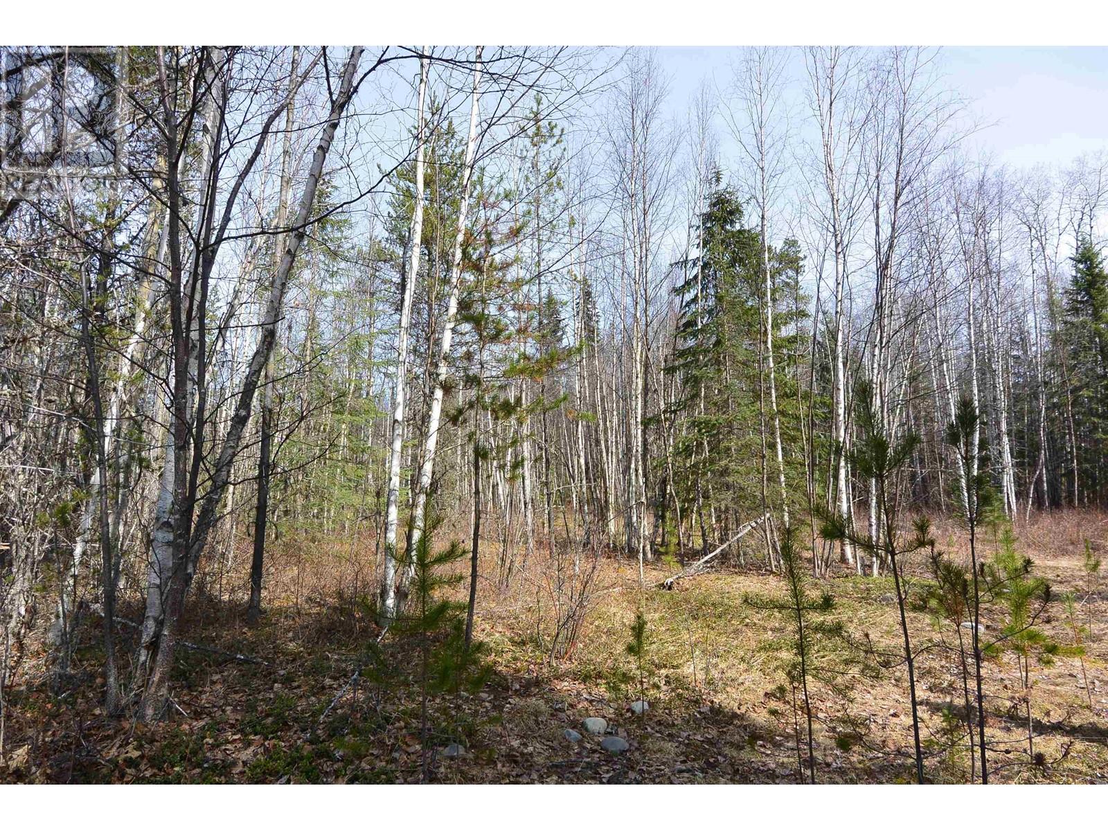 DL 2418 SALMON RIVER Road, Hazelton