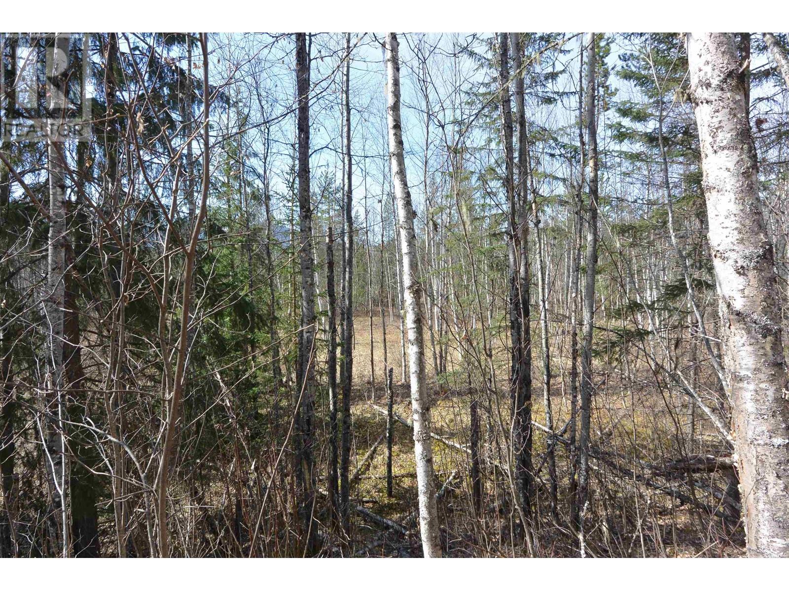 DL 2418 SALMON RIVER Road, Hazelton