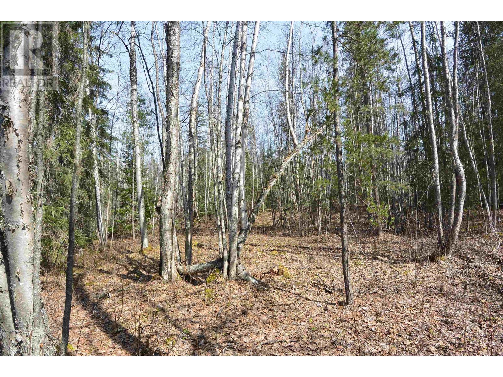 DL 2418 SALMON RIVER Road, Hazelton