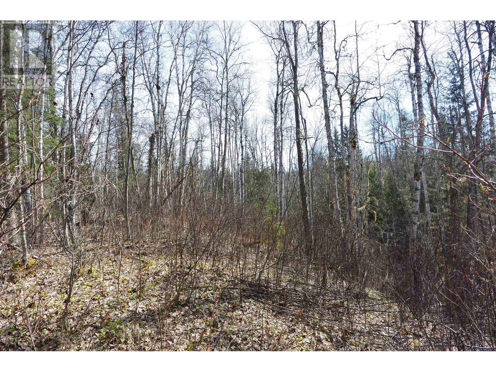 DL 2418 SALMON RIVER Road, Hazelton