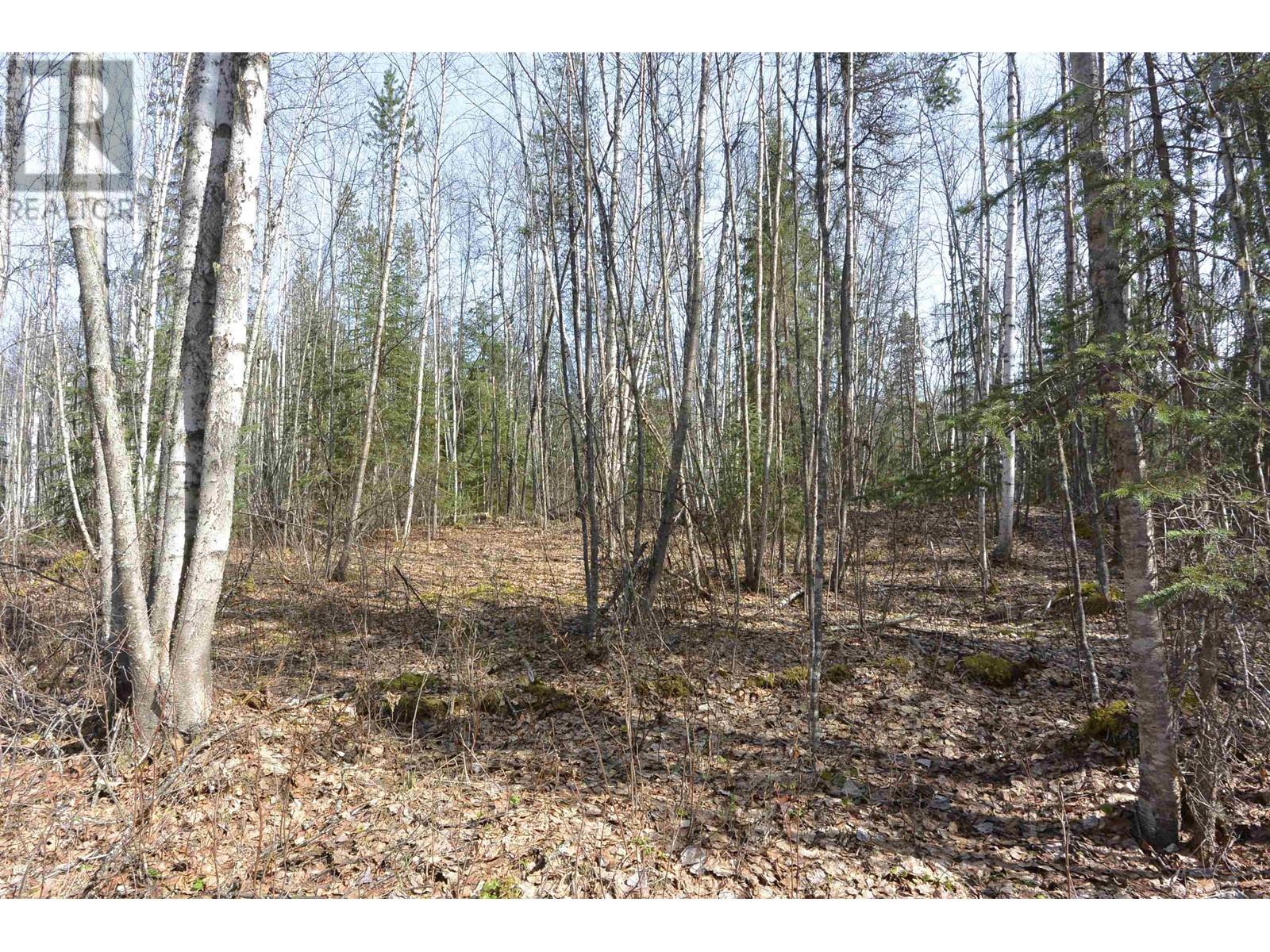 DL 2418 SALMON RIVER Road, Hazelton