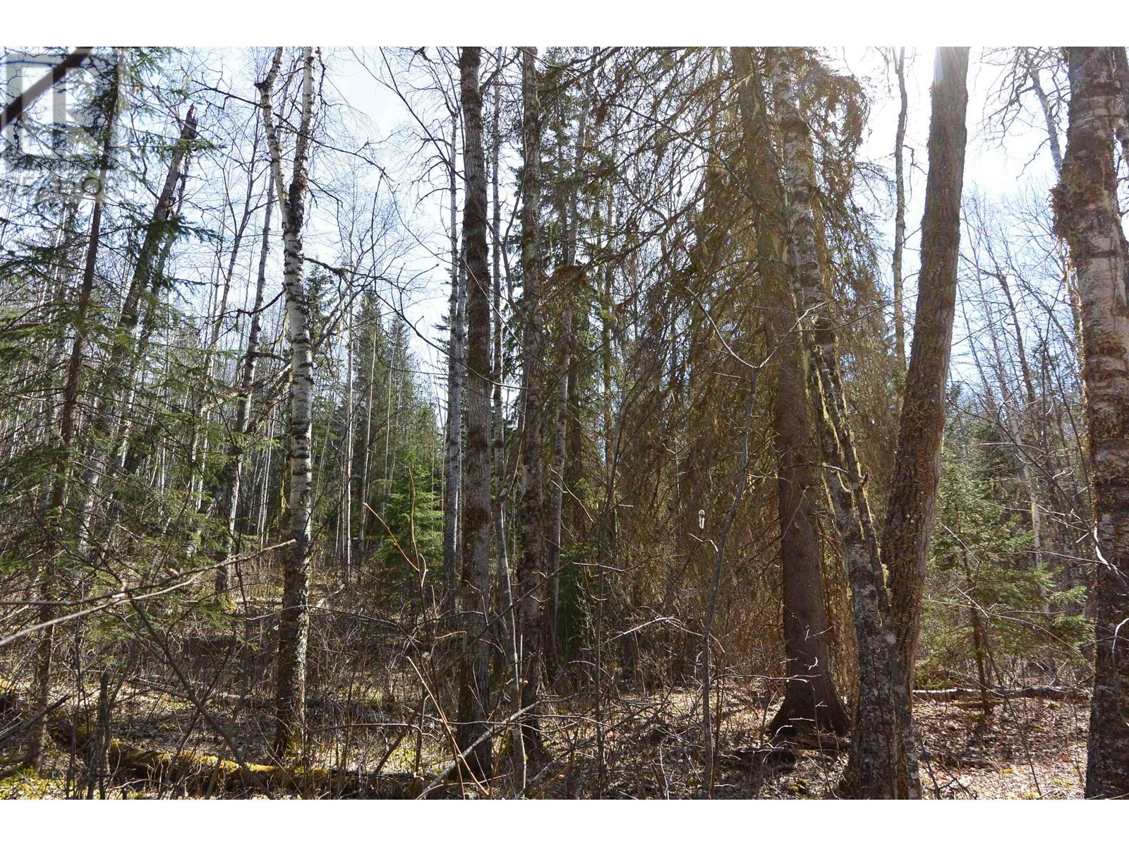 DL 2418 SALMON RIVER Road, Hazelton