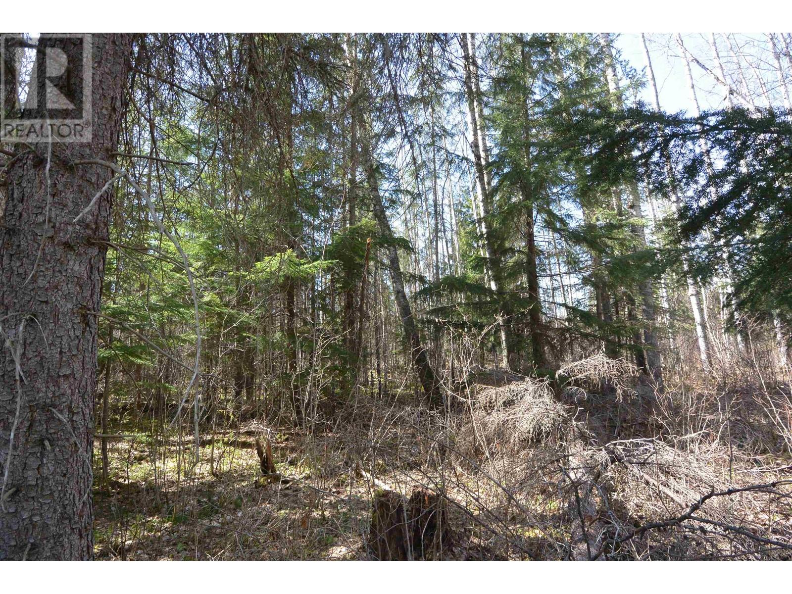 DL 2418 SALMON RIVER Road, Hazelton
