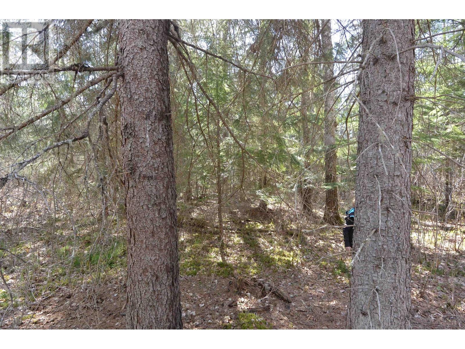 DL 2418 SALMON RIVER Road, Hazelton