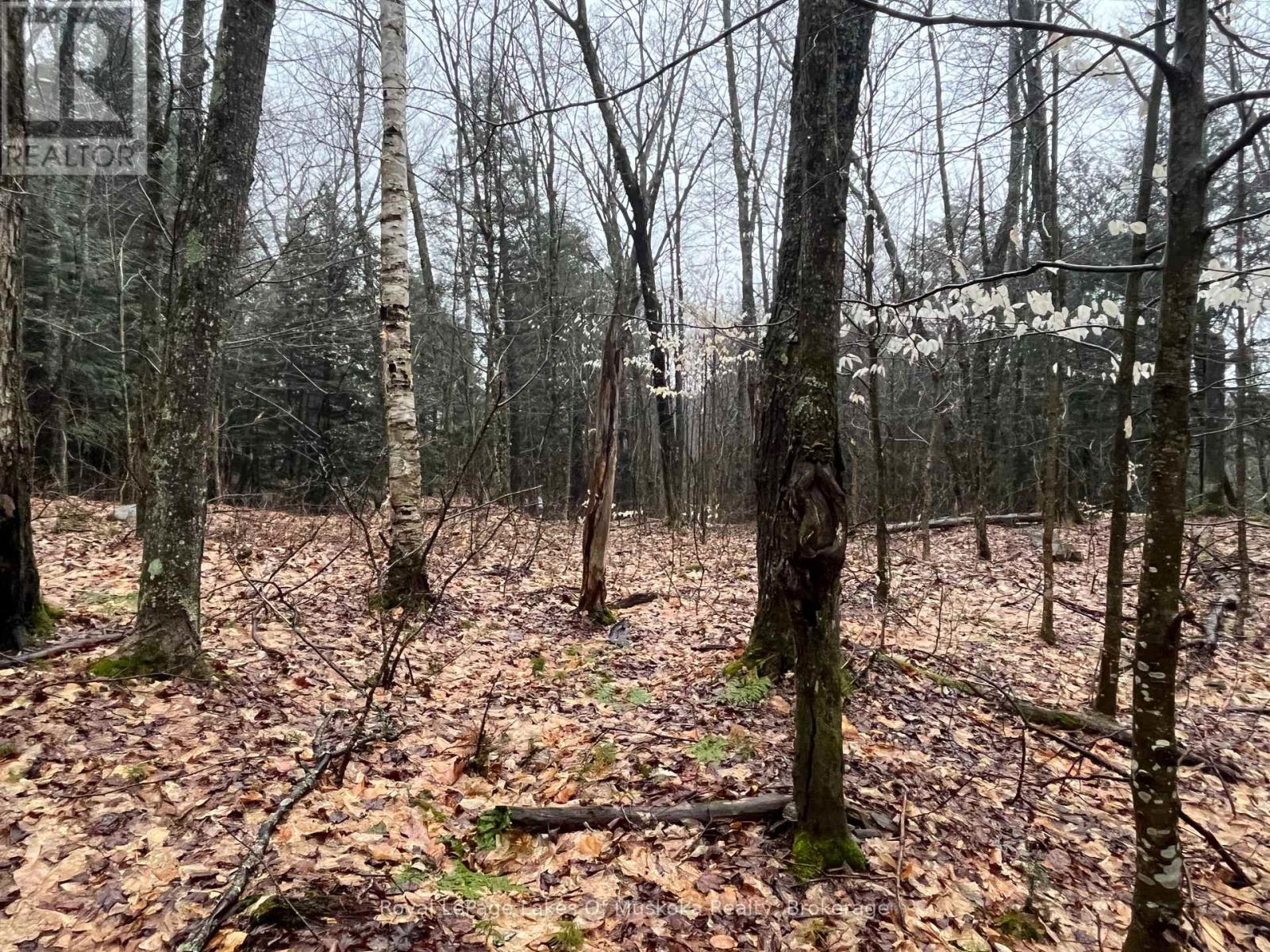 Photo 13 of Lot 90 Lookout Point Road, Huntsville ON