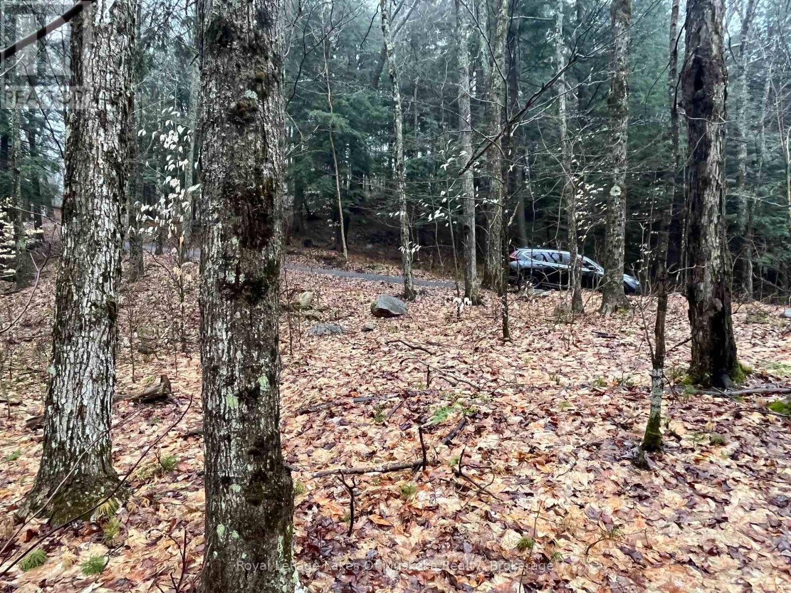 Photo 14 of Lot 90 Lookout Point Road, Huntsville ON