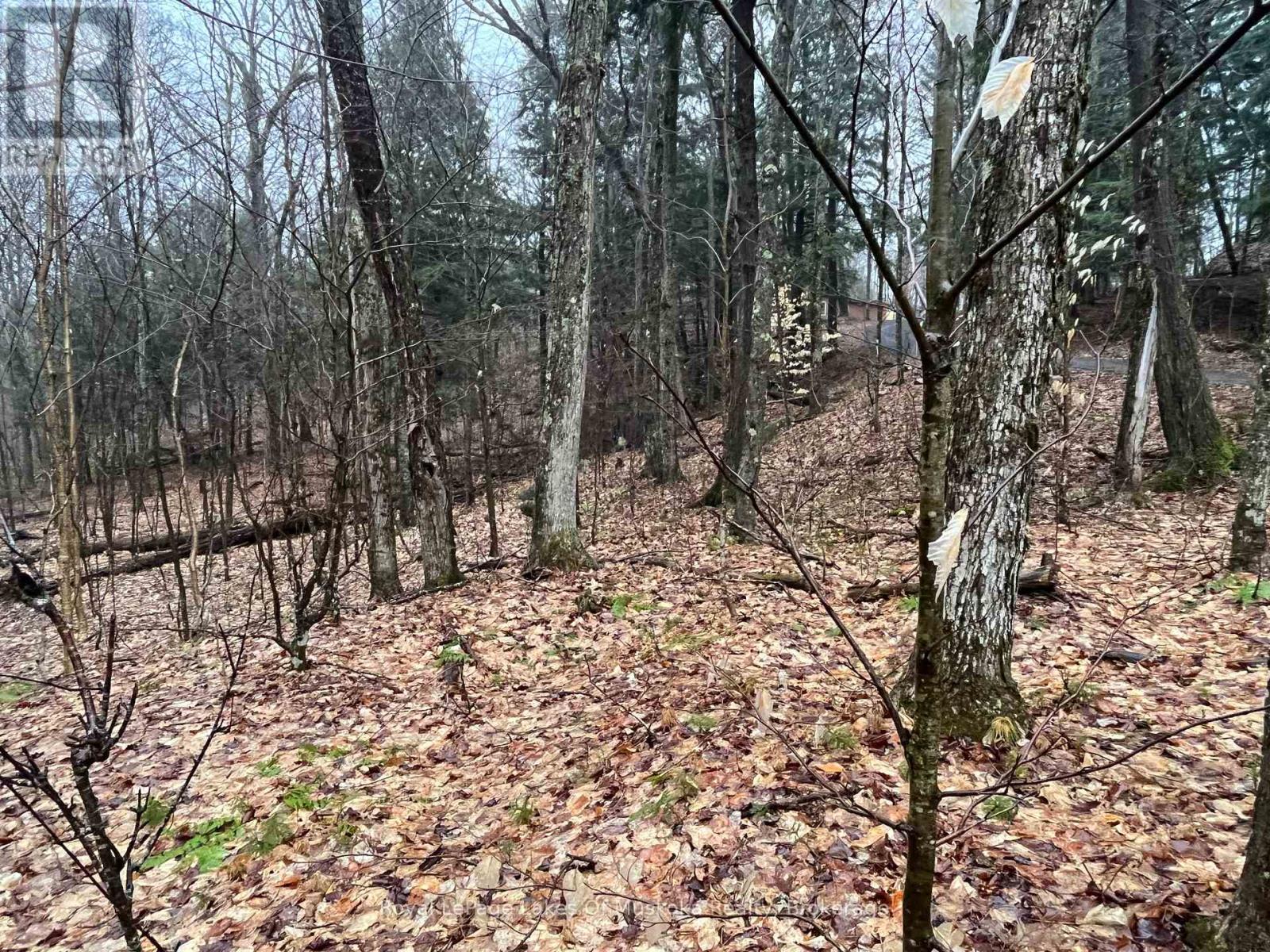 Photo 15 of Lot 90 Lookout Point Road, Huntsville ON