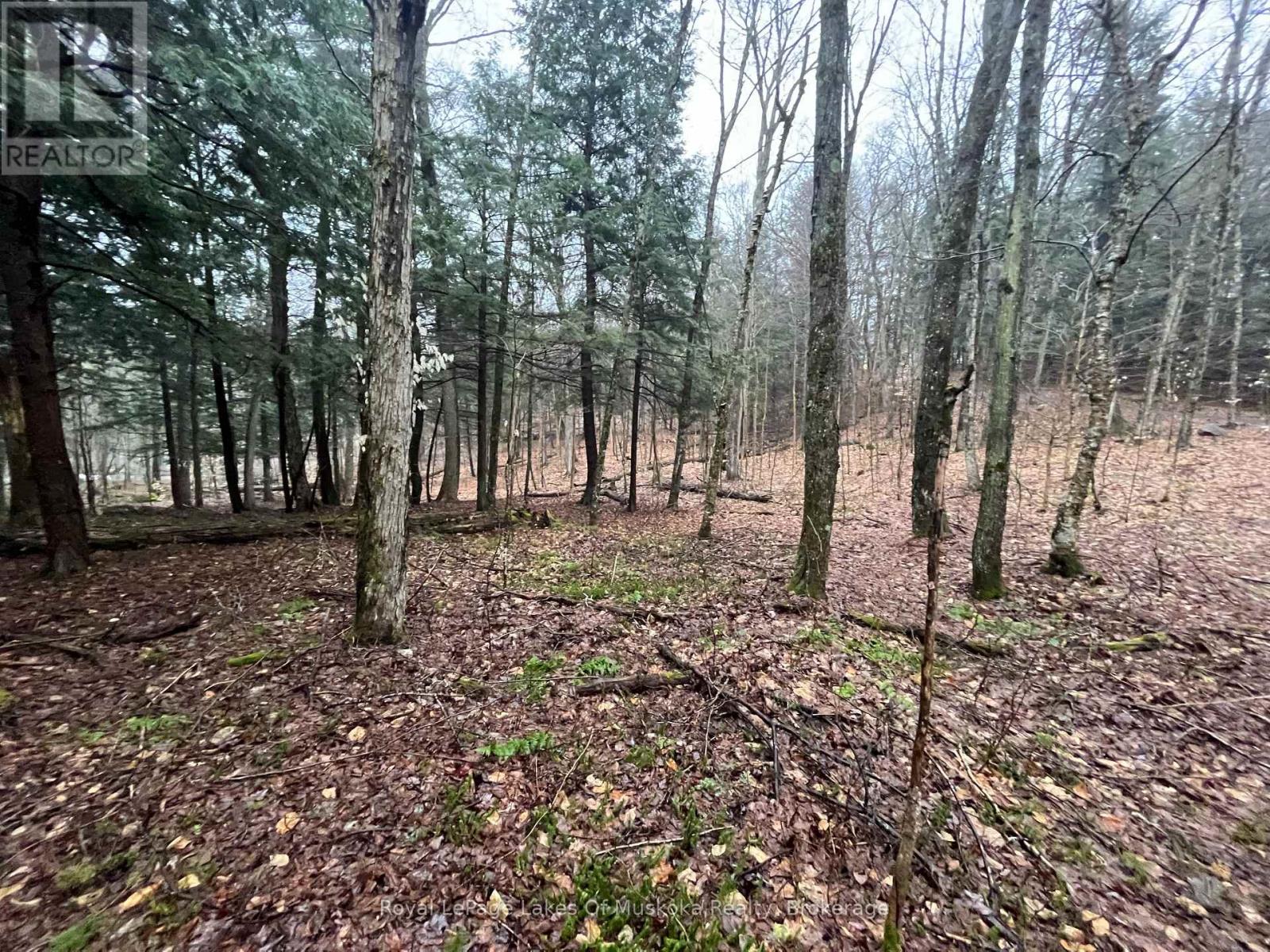 Photo 16 of Lot 90 Lookout Point Road, Huntsville ON