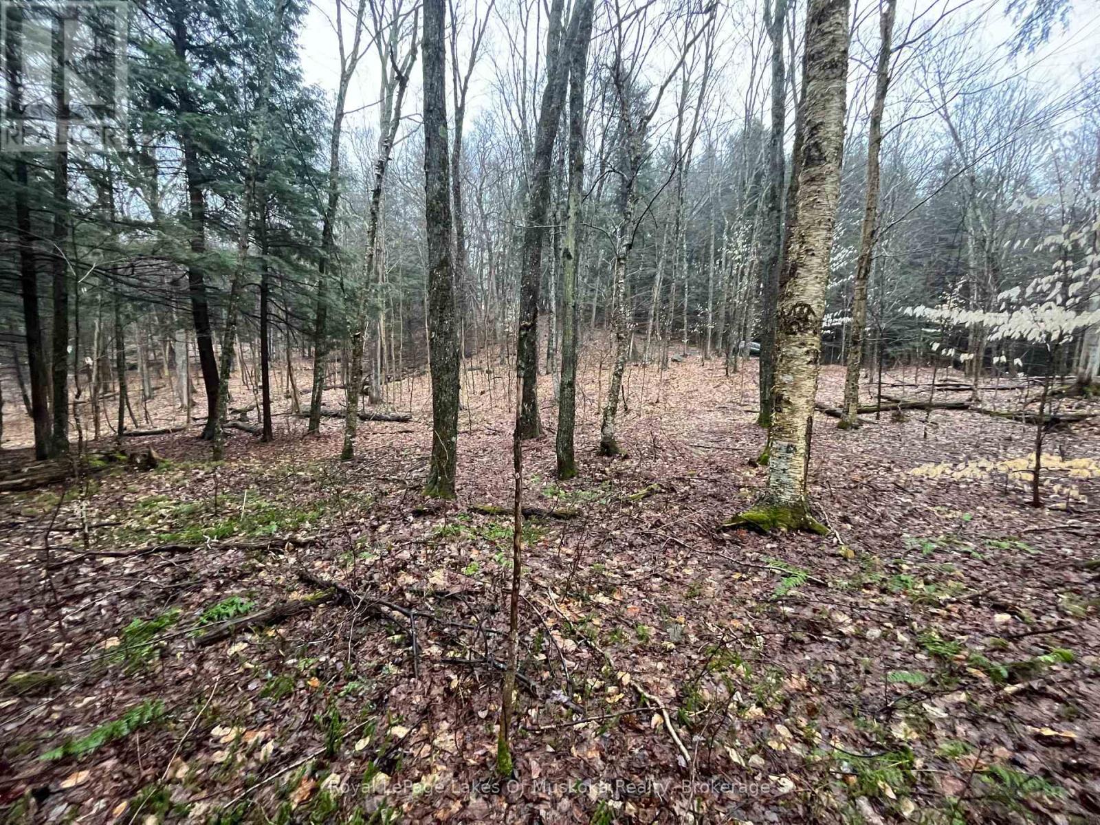 Photo 17 of Lot 90 Lookout Point Road, Huntsville ON