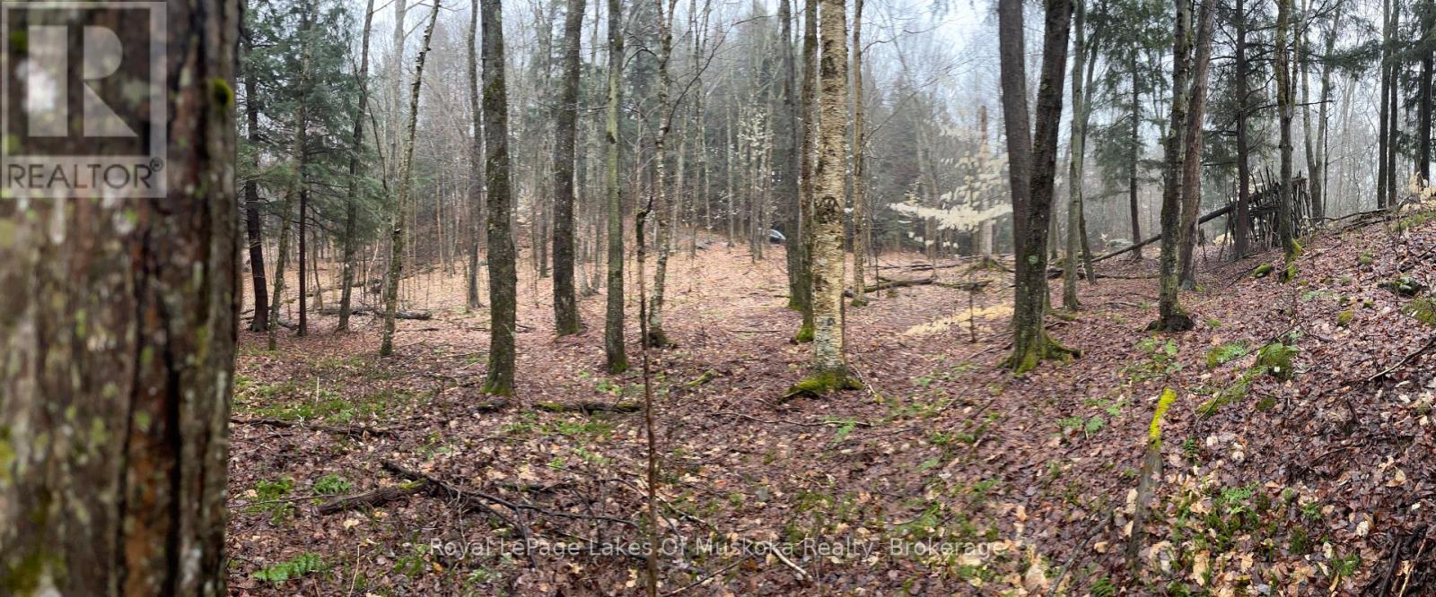 Photo 19 of Lot 90 Lookout Point Road, Huntsville ON