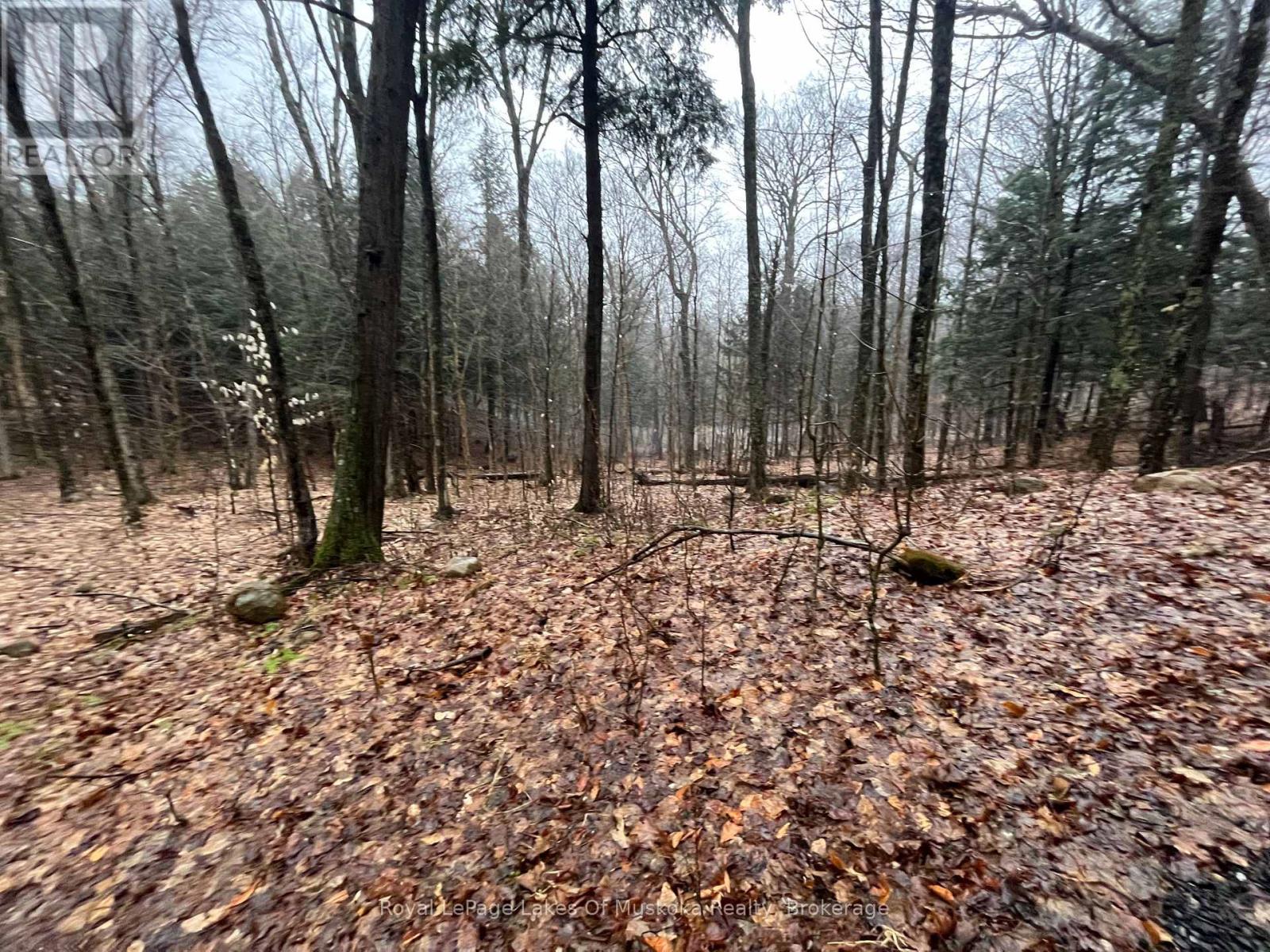 Photo 6 of Lot 90 Lookout Point Road, Huntsville ON