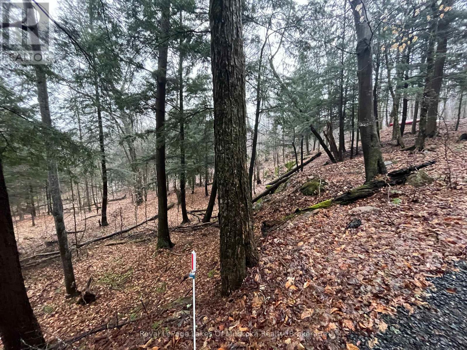 Photo 9 of Lot 90 Lookout Point Road, Huntsville ON