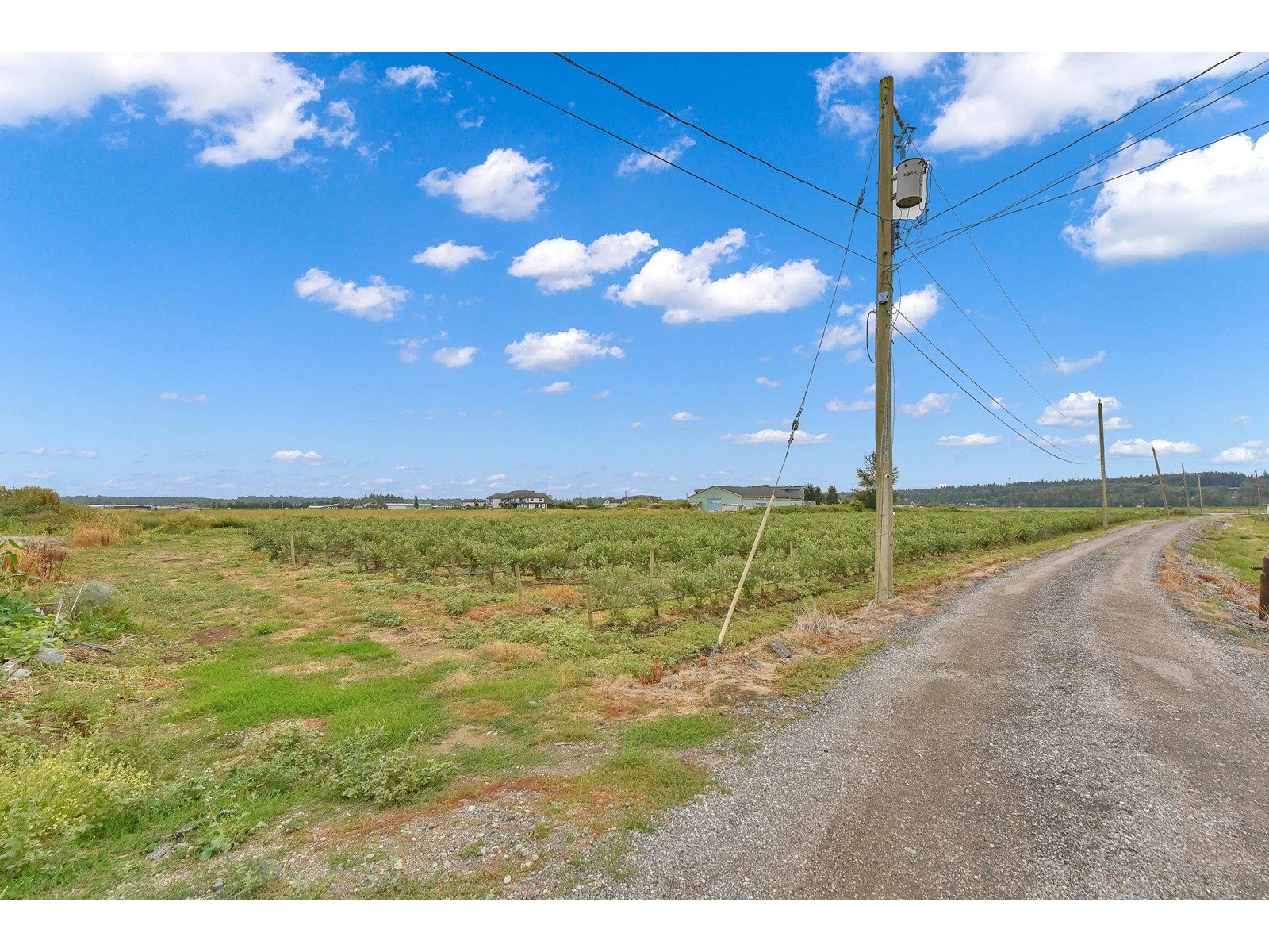 17027 40 AVENUE, Surrey