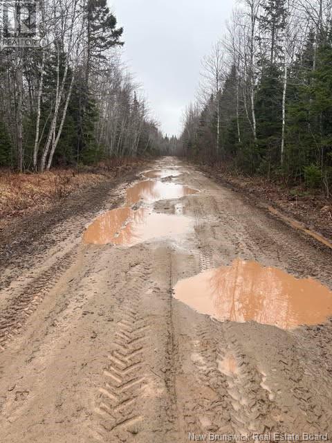 Photo 3 of N A Saint Damien Road, Saintpaul NB