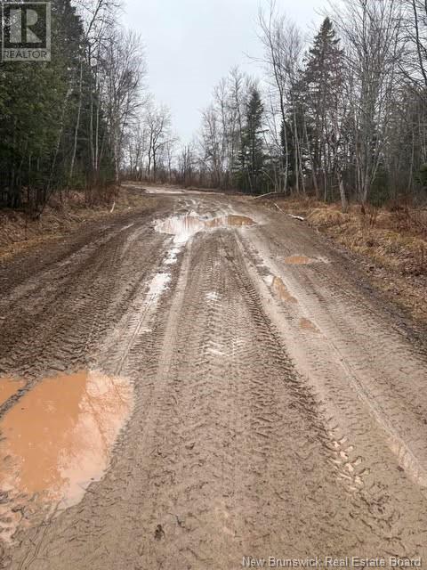 Photo 4 of N A Ch Pellerin Road, Saintpaul NB