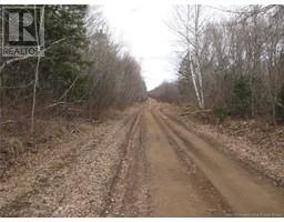 N/a Ch Pellerin Road, Saint Damien, NB E4T2G2 Photo 6