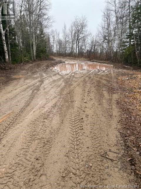 Photo 2 of N A Ch Pellerin Road, Saintpaul NB