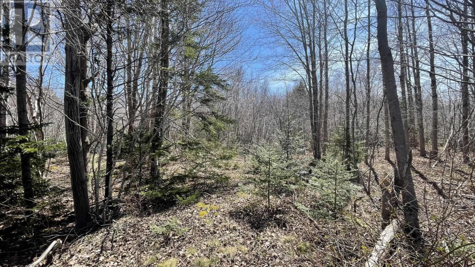 Photo 2 of Lot 2 Jordantown Cross Road, Conway NS