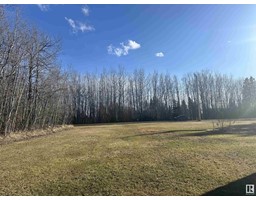 5004 51 Av, Fawcett, AB T0G0Y0 Photo 14