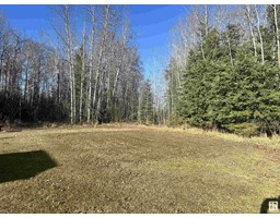 5004 51 Av, Fawcett, AB T0G0Y0 Photo 17