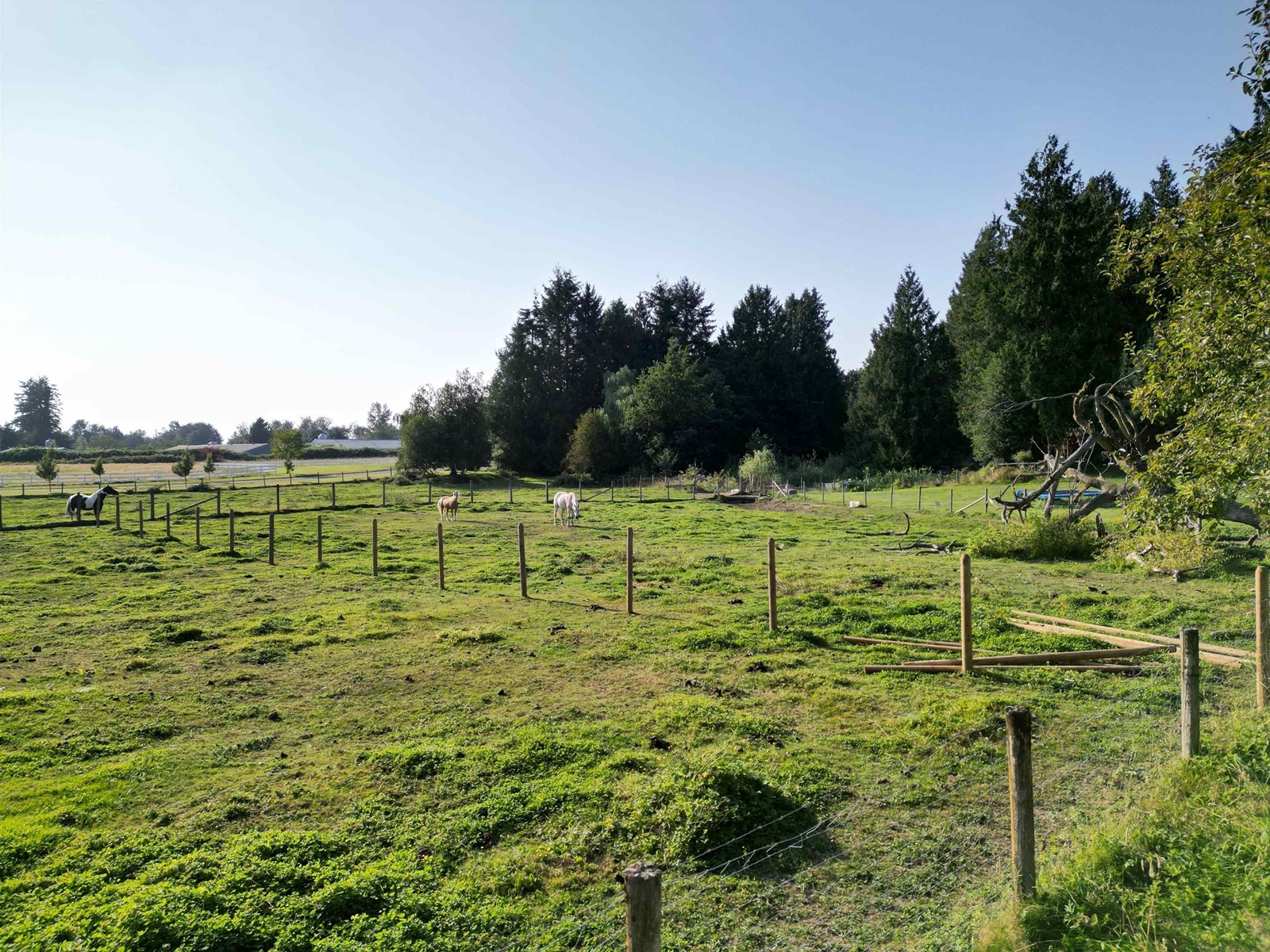 28927 BUCHANAN AVENUE, Abbotsford