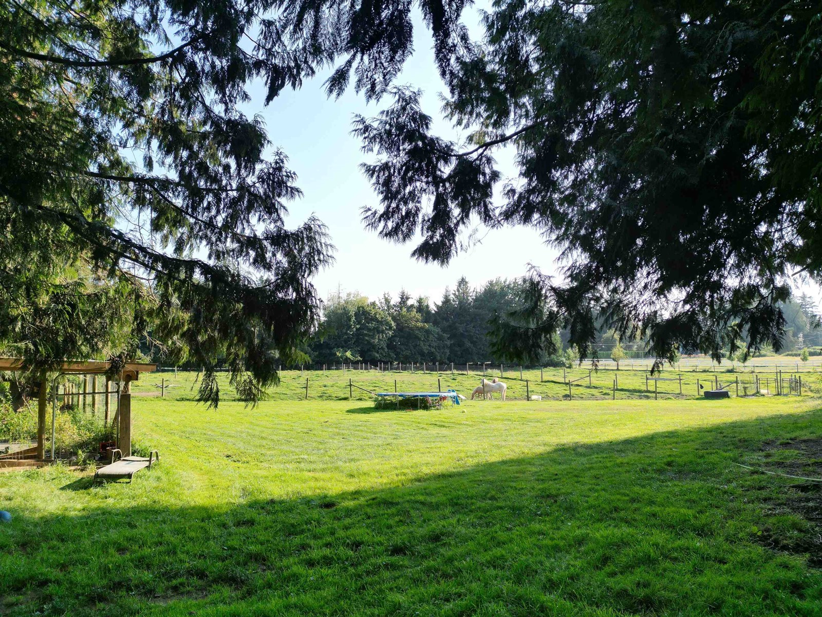 28927 BUCHANAN AVENUE, Abbotsford