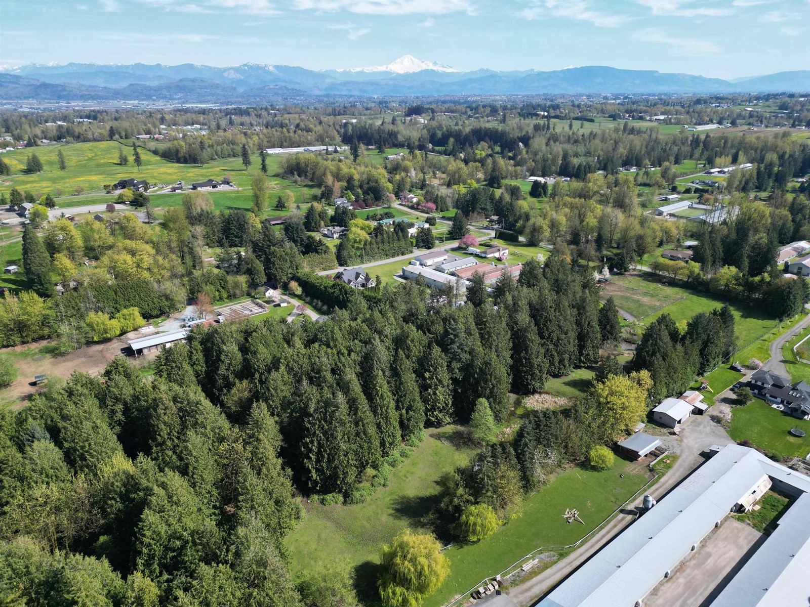 28927 BUCHANAN AVENUE, Abbotsford