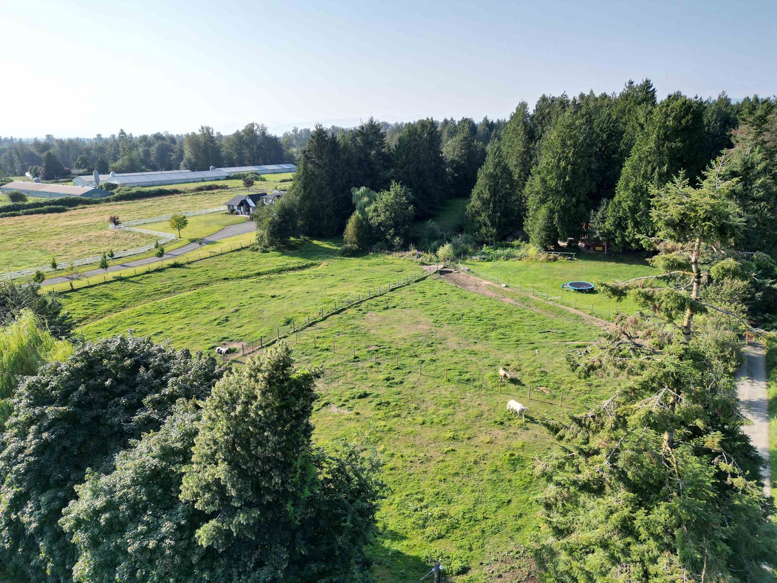 28927 BUCHANAN AVENUE, Abbotsford