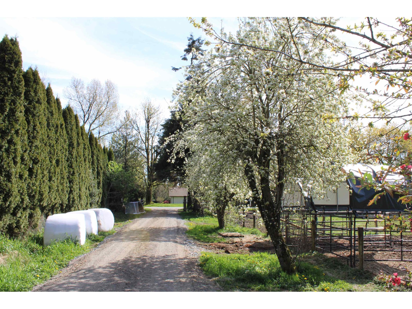 28927 BUCHANAN AVENUE, Abbotsford