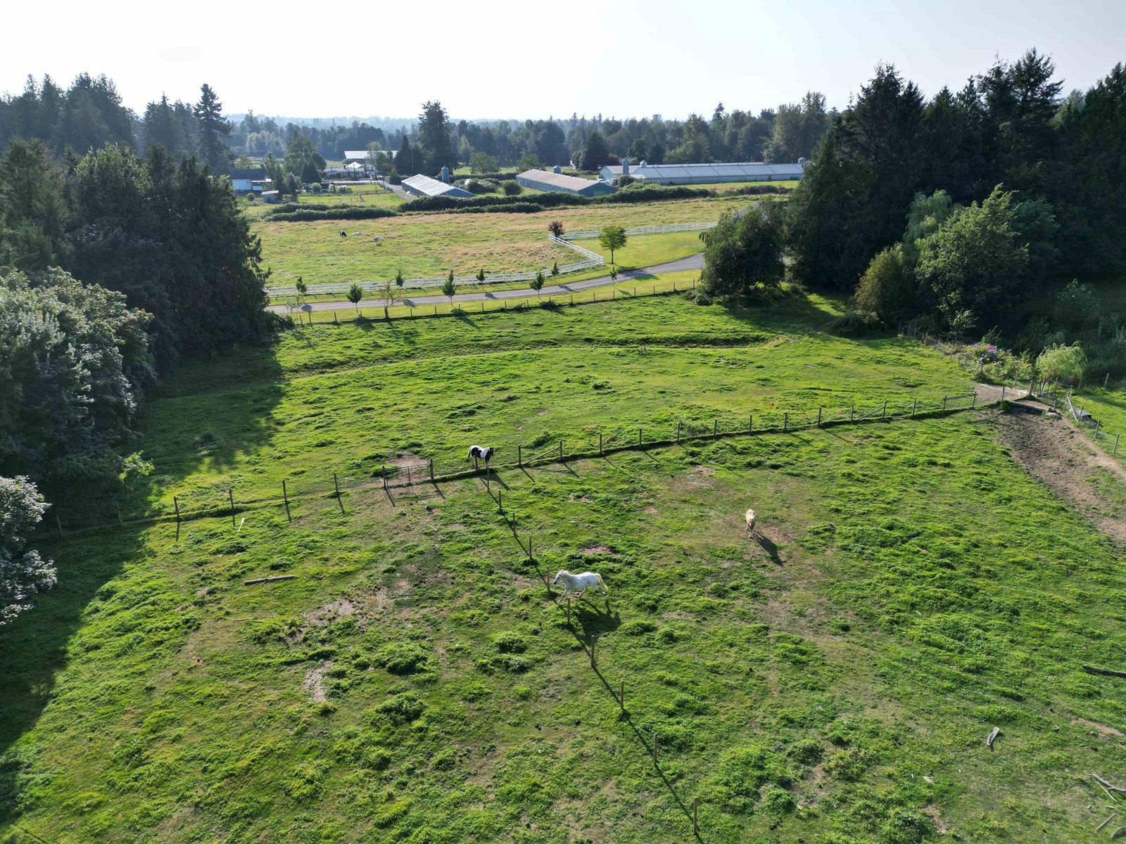 28927 BUCHANAN AVENUE, Abbotsford