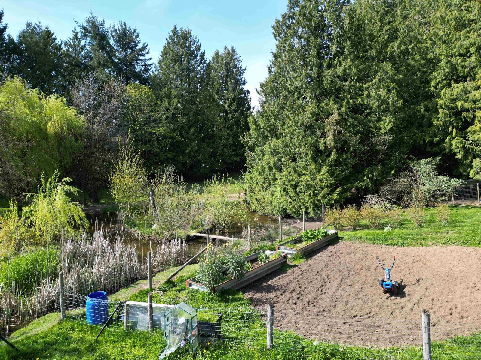 28927 BUCHANAN AVENUE, Abbotsford