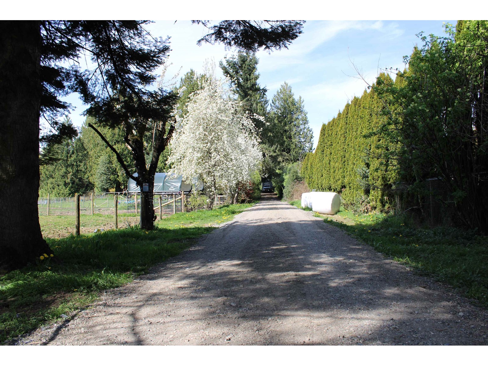 28927 BUCHANAN AVENUE, Abbotsford