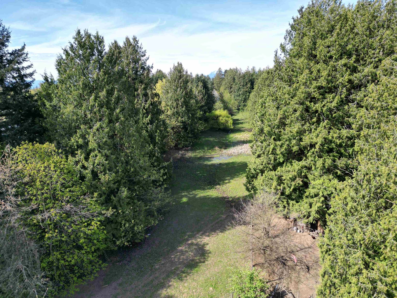 28927 BUCHANAN AVENUE, Abbotsford