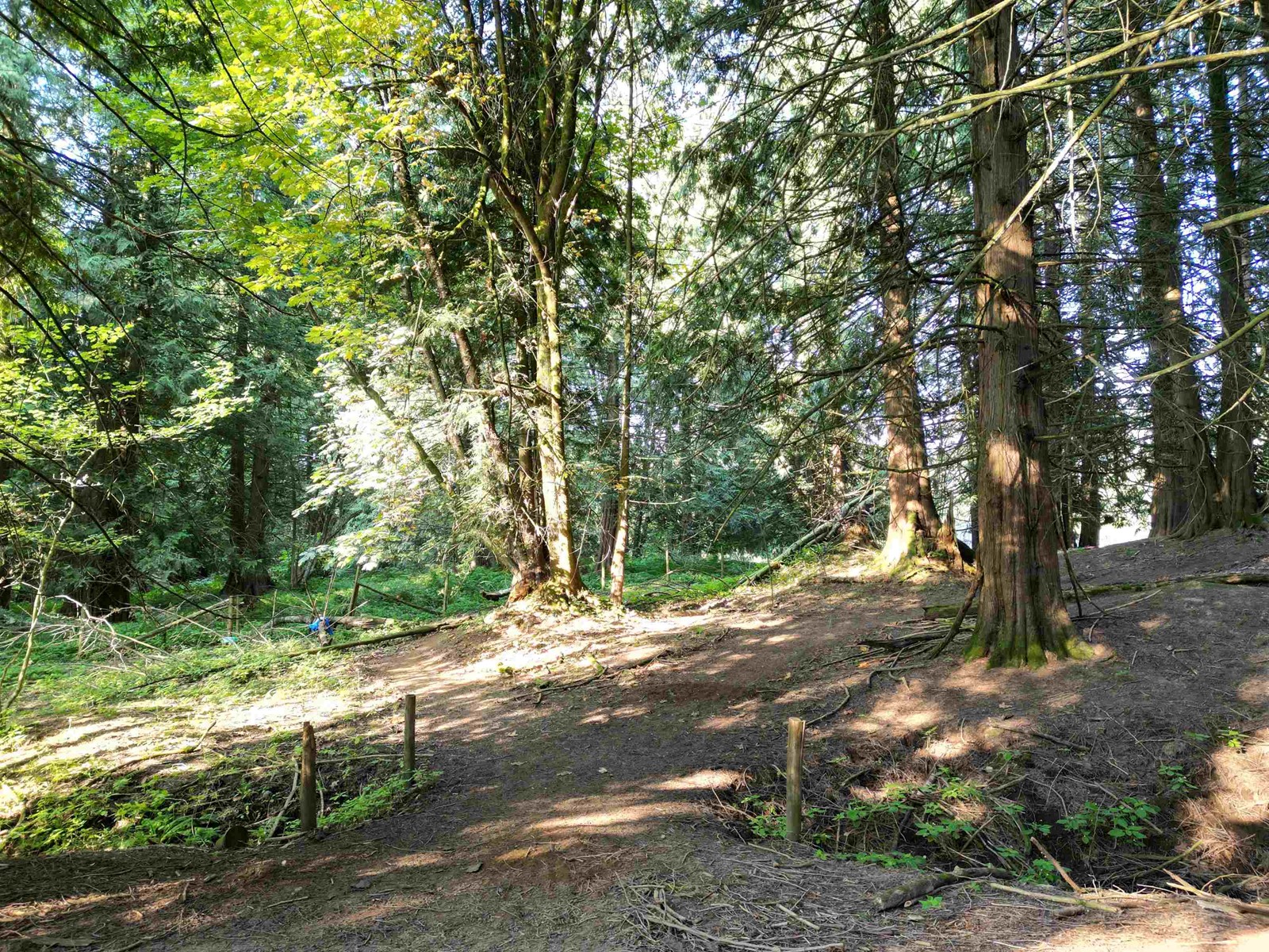 28927 BUCHANAN AVENUE, Abbotsford