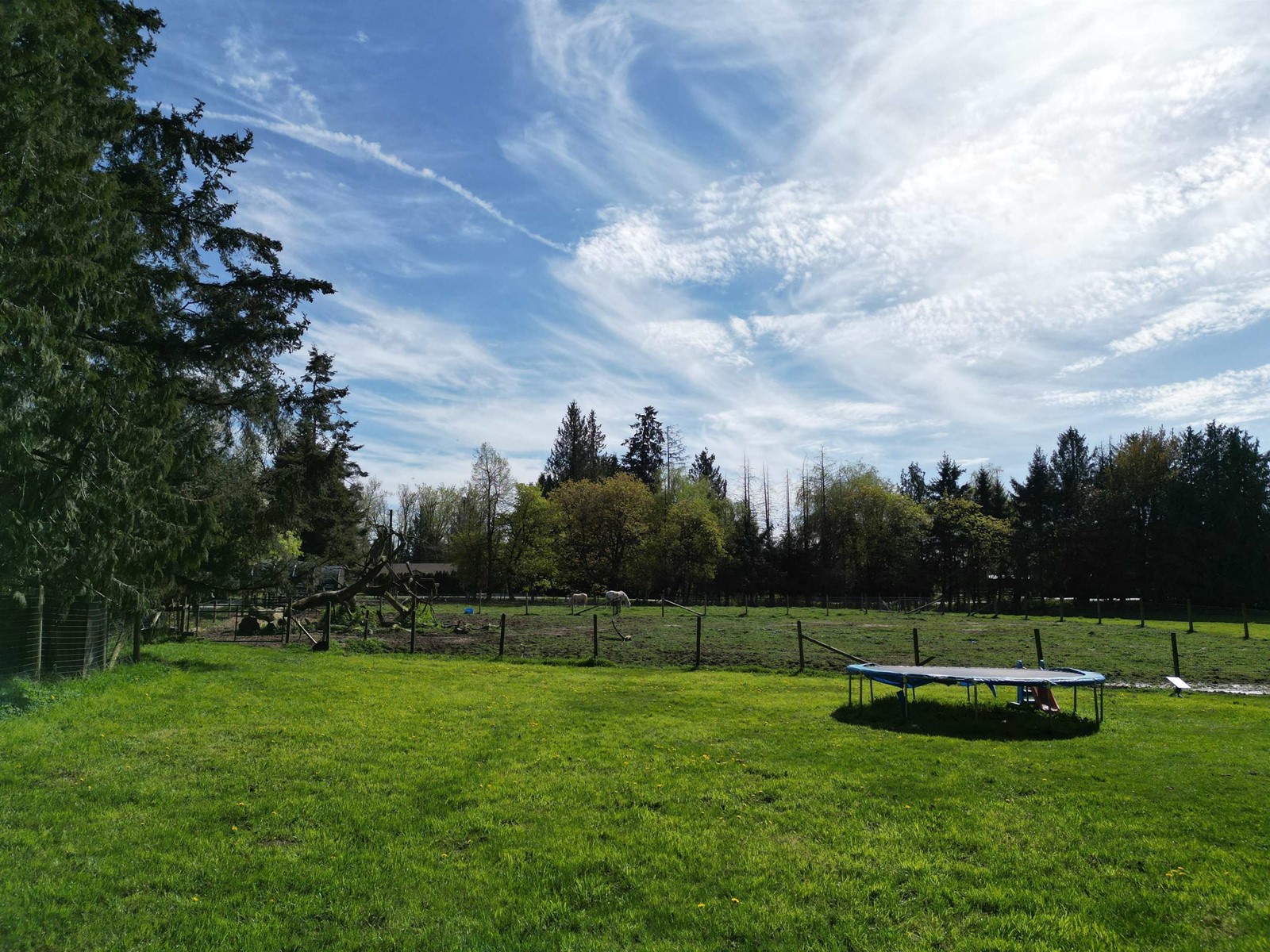 28927 BUCHANAN AVENUE, Abbotsford