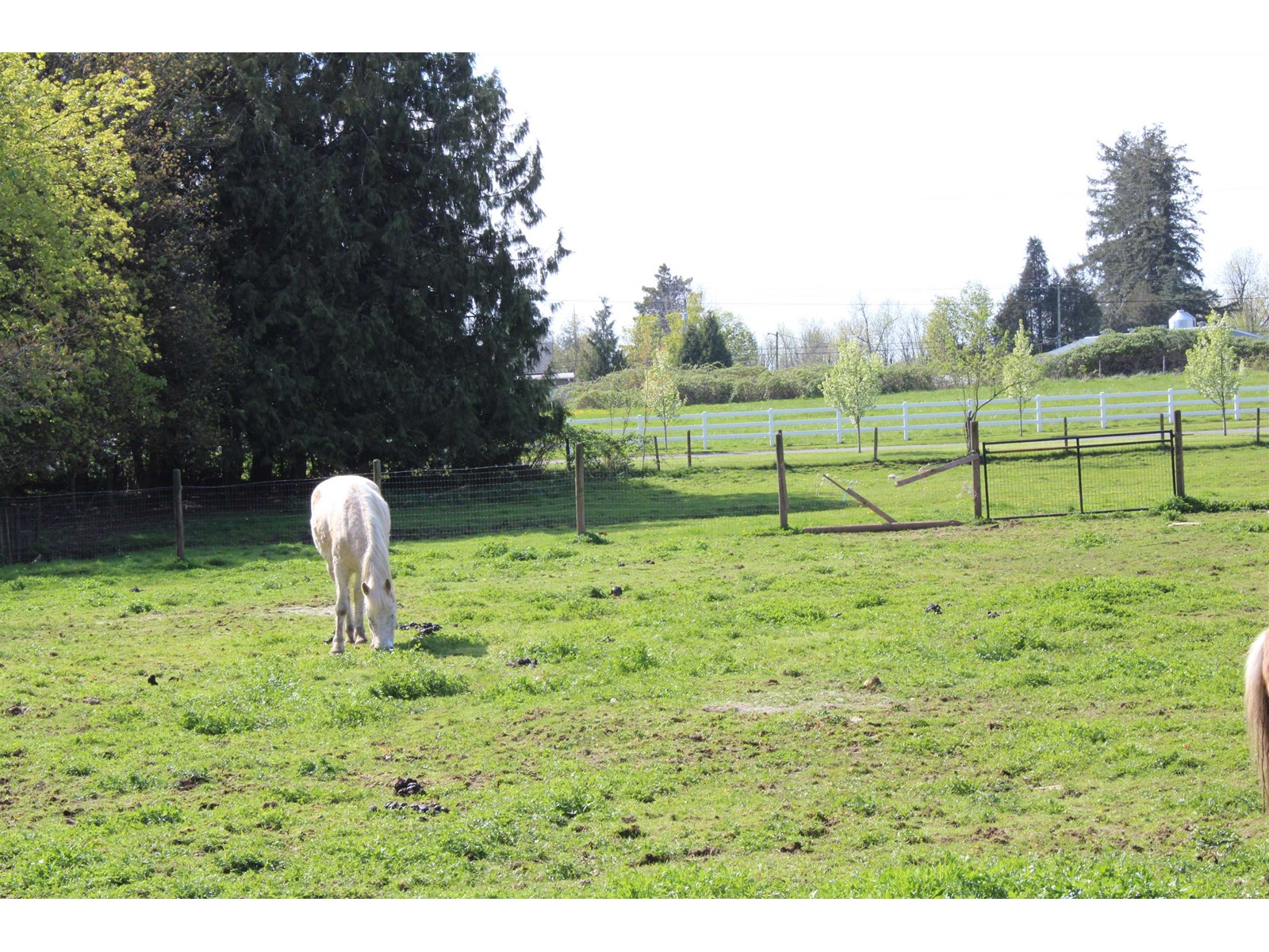 28927 BUCHANAN AVENUE, Abbotsford