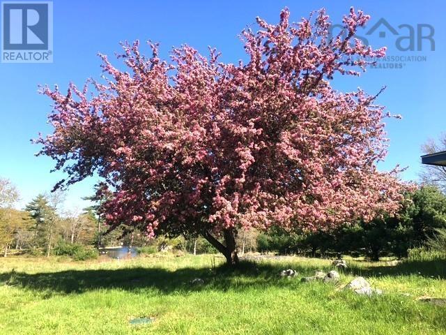 Property 12 of 41 of 10539 Upper Clyde Road