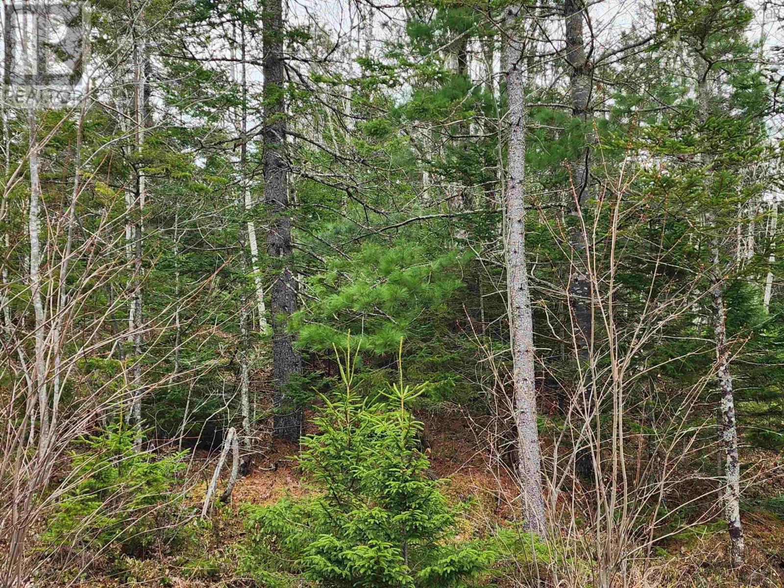 Property 7 of 7 of Lot Highway 340