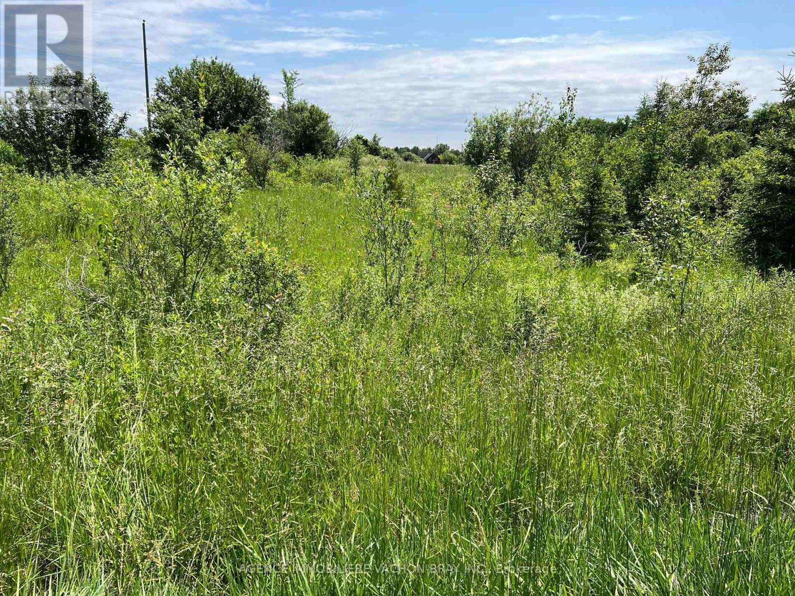 Photo 1 of 10 Concession, South Glengarry ON