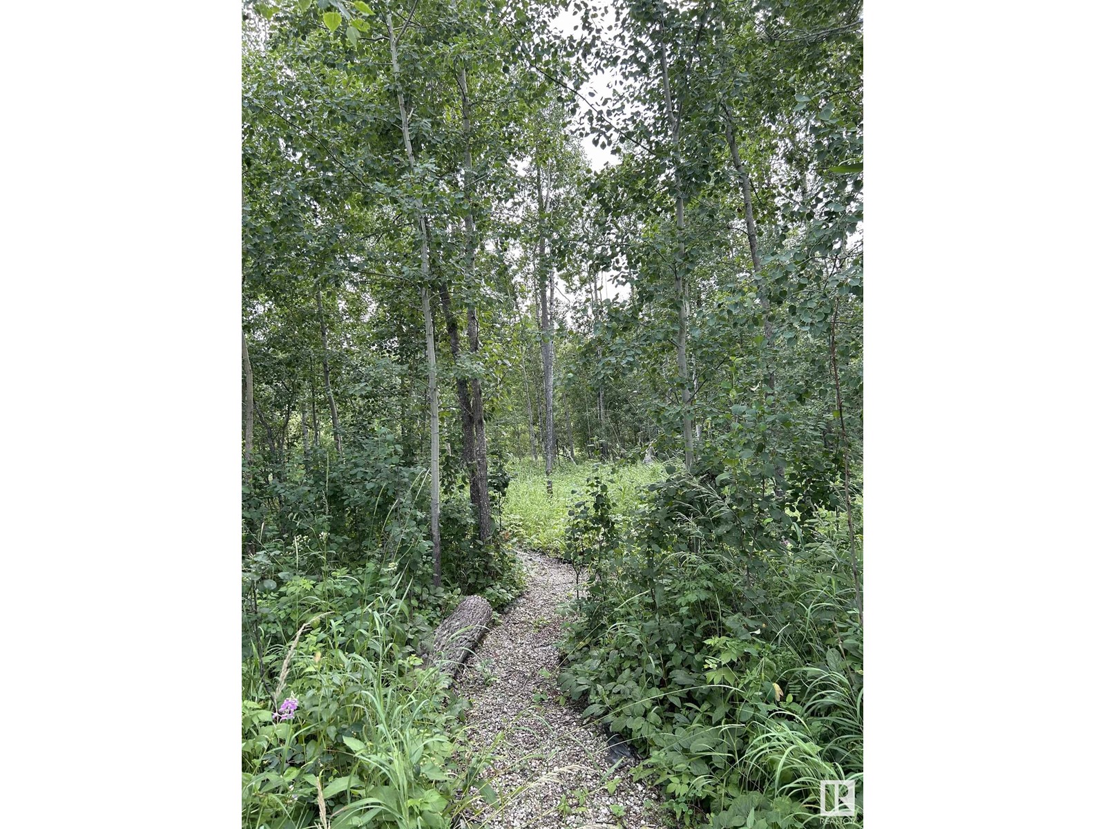 Photo 3 of 4 Tamarack Trail, Rural Lac Ste Anne County AB
