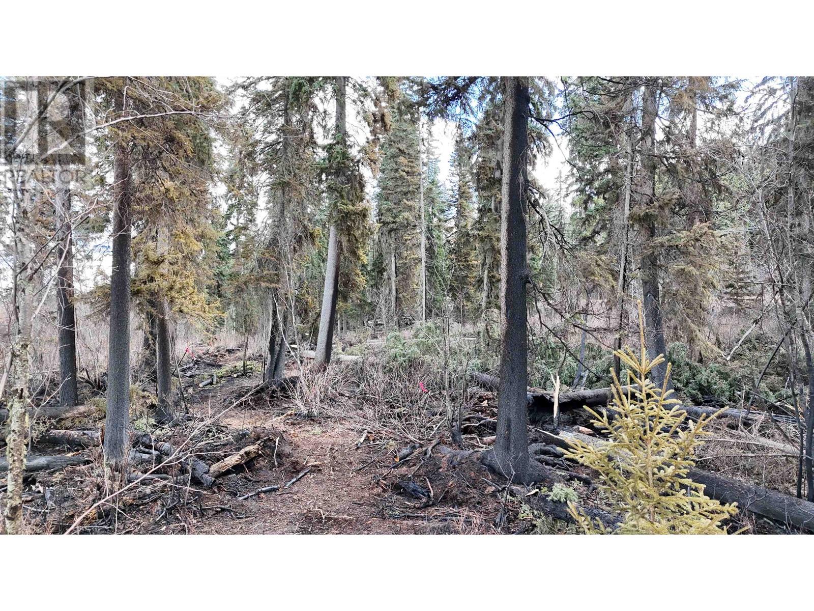 Lot 8 HORSE LAKE ROAD, Horse Lake